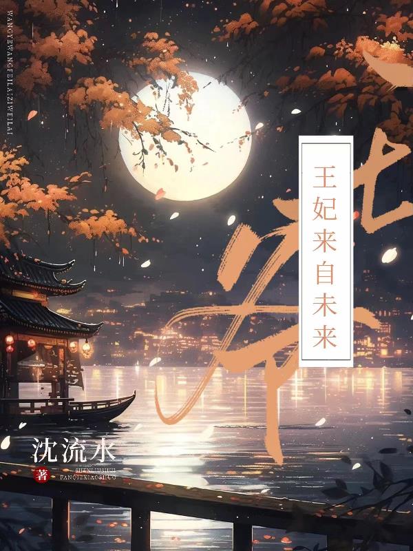 王妃来自未来 沈流水